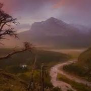 Sting Fields Of Gold Acoustic Unplugged Best Version