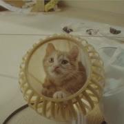 Gravity Rush 2 Gravity Cat Live Action Trailer