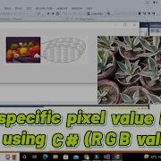 How To Get A Specific Pixel Value In Any Image In C Winform Finding Pixel RGB Values Of An Image