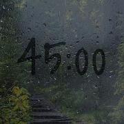 45 Minute Timer With Rain Sounds