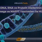 DNA RNA Ve Protein Dizilerinin Clustal Omega Ve MAFFT Yazılımları Ile Hizalanması