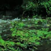 Williamsburg MA Tropical Storm Irene Flooding