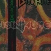 Disinhumed US AR Brain Rape 1995