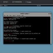 Тестирование NsLookup в лабораторной работе Network 6 6 6