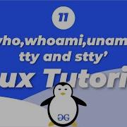 Linux Tutorials About The User And The Terminal GeeksforGeeks
