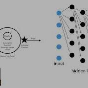 How AI ML Memorization Happens Overparameterized Models