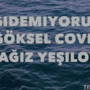 Gidemiyorum Göksel Akustik Cover