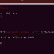 023 Shellcode Basics