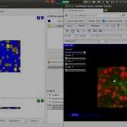 Catmaid Ilastik Integration Pixel Classification