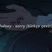 Halsey Sorry Türkçe çeviri