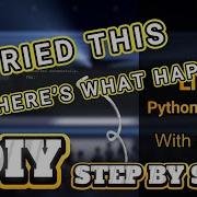 DIY LIVE CHAT App Python With Sockets Step By Step Python Pythonprogramming Learning
