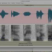 Voice Assessments And Acoustic Analysis With Praat