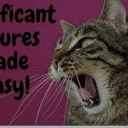Significant Figures Made Easy