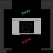 Graphic Design Using Python Turtle 1 Turtle Programming Short Youtube Youtubeshorts