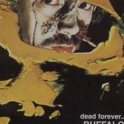 Buffalo Dead Forever Same 1972