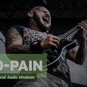 Brutal Assault 20 Pro Pain Live 2015