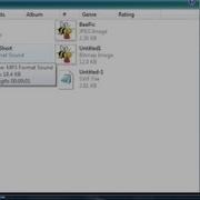 Flash From Scratch Tutorial 2 File Types Avi