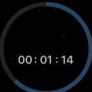 2 Minute Circle Timer V 22 Simple No Sound