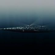 Наутилус капитана Немо Captain Nemo S Nautilus