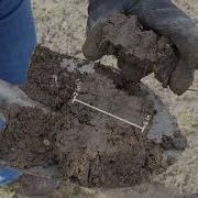 How To Take A Soil Sample