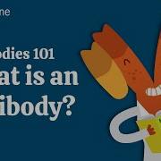What Is An Antibody Addgene S Antibodies 101