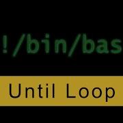 Until Loop Bash Scripting