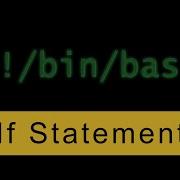 If Statement Bash Scripting