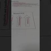 Multiplex Pcr