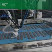 Bakery Robotic Packaging Solution For High Speed Packing Of Cookies Into Retail Trays