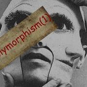 OOP With JAVA Polymorphism 1