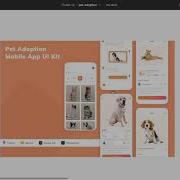 Flutter Pet Adoption App Live Coding 1 Raw Real