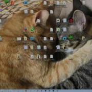 Opening Typing In Notepad Using VbScript