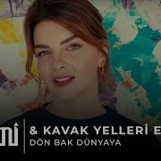 Kavak Yelleri Ekibi Pinhani Dön Bak Dünyaya Official Video