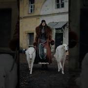 А может прыгнуть вниз и не разбиться BEARWOLF ДВУГЛАВЫЙ В сети