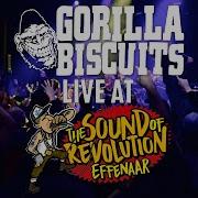 GORILLA BISCUITS THE SOUND OF REVOLUTION 2019 EFFENAAR MULTICAM FULL SET
