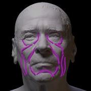 Eight Important Anatomical Landmarks For The Face