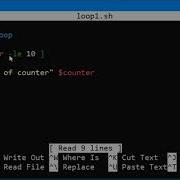 BASH While Loop