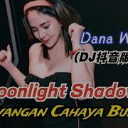 Dana Winner Moonlight Shadow Bayangan Cahaya Bulan DJ抖音版2022 抖音经典太空舱 Lirik Terjemahan