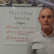 LEAN BITES MILESTONE REVIEW