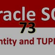 Oracle SQL Developer Tutorial For Beginners 73 ER Model Entity Attribute And TUPLE