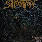 Suffocation Pierced From Within