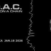 Planet On A Chain 924 Gilman Berkeley Ca Jan 18 2026