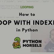 Looping With Indexes In Python