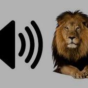 Lion Sound Effect ProSounds