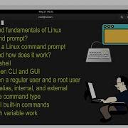 Basic Linux Alias Internal External Commands Shell Types CLI And GUI Command Prompt