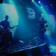 Дельфин Dolphin Чужой Live Горка Холл