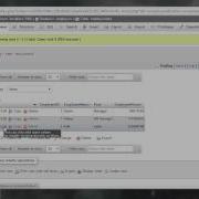 Delete Data In MySQL Database Using PHPMyAdmin