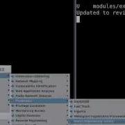 Backtrack Windows 7 DNS Java Attack Method Part 1