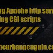 Learning Apache Http Server Executing CGI Scripts