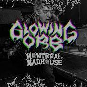 GLOWING ORB Montreal Madhouse